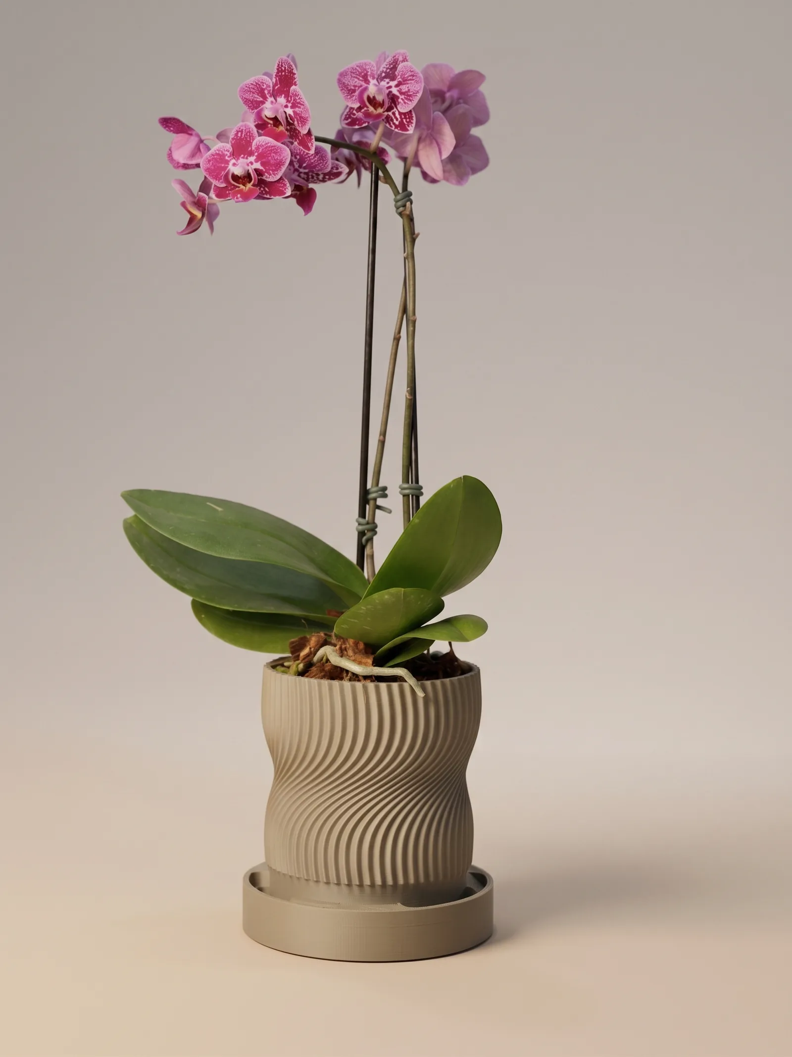 Fluxa Vase